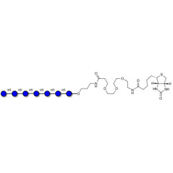 Isomaltoheptaose DP7 linked to biotin (Linker-BT C)