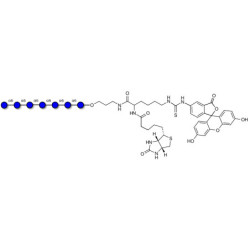 Isomaltoheptaose DP7 linked to biotin and fluorescein (Linker-BT-FLUO A)
