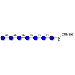 Isomaltoheptaose DP7 grafted on CRM197