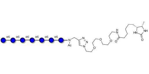 Isomaltoheptaose DP7 linked to desthiobiotin (Linker-DBT-A)