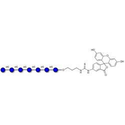 Isomaltoheptaose DP7 linked to fluorescein (Linker-FLUO A)