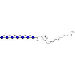 Isomaltoheptaose DP7 grafted on gel for affinity chromatography (Linker-GEL A)