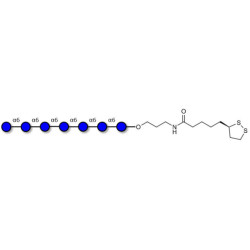 Isomaltoheptaose DP7 with cyclic di-thiol (Linker-LIPO A)