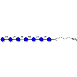 Isomaltoheptaose DP7 with free terminal amine (Linker-NH2 A)