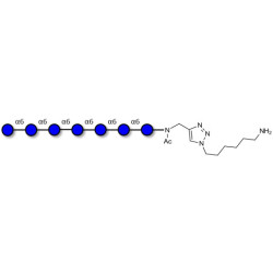 Isomaltoheptaose DP7 with free terminal amine (Linker-NH2 D)