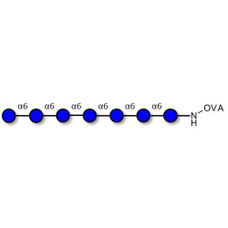 Isomaltoheptaose DP7 grafted on OVA