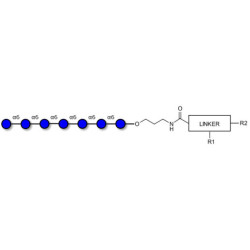 Isomaltoheptaose DP7 with customizable dual functionalization 
