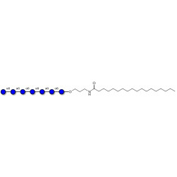 Isomaltoheptaose DP7 with stearic chain (Linker-STEA A)