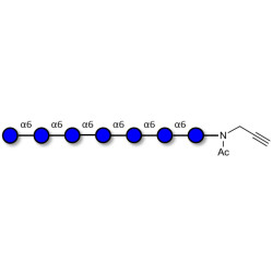 Isomaltoheptaose DP7 with terminal alkyne (Linker-CΞCH A)