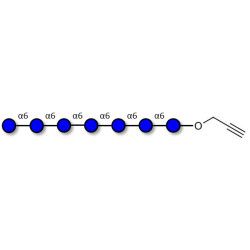 Isomaltoheptaose DP7 with terminal alkyne (Linker-CΞCH B)