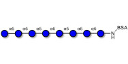 Isomaltooctaose DP8 grafted...