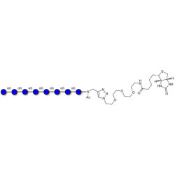 Isomaltooctaose DP8 linked to biotin (Linker-BT A)