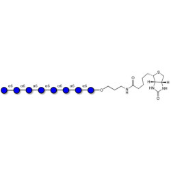 Isomaltooctaose DP8 linked to biotin (Linker-BT B)