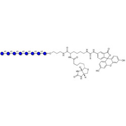 Isomaltooctaose DP8 linked to biotin and fluorescein (Linker-BT-FLUO A)