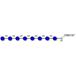 Isomaltooctaose DP8 grafted on CRM197