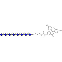 Isomaltooctaose DP8 linked to fluorescein (Linker-FLUO A)