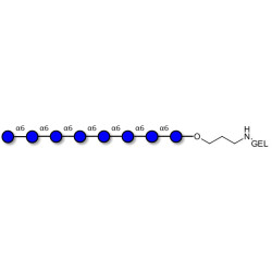 Isomaltooctaose DP8 grafted on gel for affinity chromatography (Linker-GEL B)