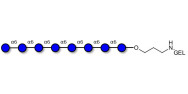 Isomaltooctaose DP8 grafted...