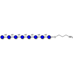 Isomaltooctaose DP8 with free terminal amine (Linker-NH2 A)