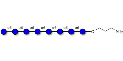 Isomaltooctaose DP8 with free terminal amine (Linker-NH2 A)