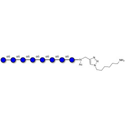 Isomaltooctaose DP8 with free terminal amine (Linker-NH2 D)