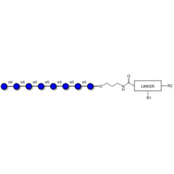 Isomaltooctaose DP8 with customizable dual functionalization 