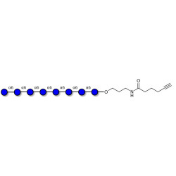Isomaltooctaose DP8 with terminal alkyne (Linker-CΞCH C)