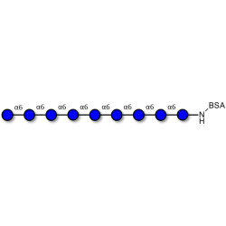 Isomaltononaose DP9 grafted on BSA