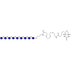 Isomaltononaose DP9 linked to biotin (Linker-BT C)