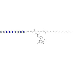 Isomaltononaose DP9 linked to biotin and stearic chain (Linker-BT-STEA A)
