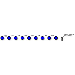 Isomaltononaose DP9 grafted on CRM197