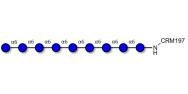 Isomaltononaose DP9 grafted...