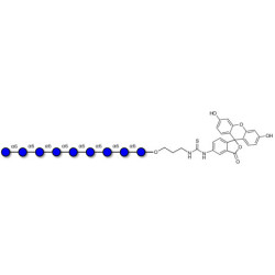 Isomaltononaose DP9 linked to fluorescein (Linker-FLUO A)