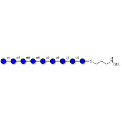 Isomaltononaose DP9 grafted on gel for affinity chromatography (Linker-GEL B)