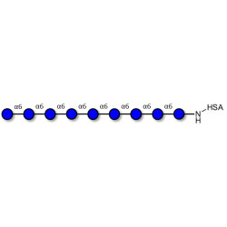 Isomaltononaose DP9 grafted on HSA