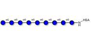 Isomaltononaose DP9 grafted...