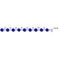 Isomaltononaose DP9 grafted on OVA