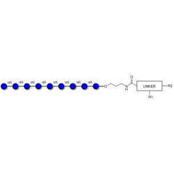 Isomaltononaose DP9 with customizable dual functionalization 