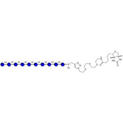 Isomaltodecaose DP10 linked to biotin (Linker-BT A)