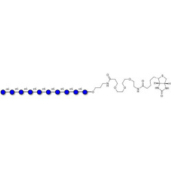 Isomaltodecaose DP10 linked to biotin (Linker-BT C)