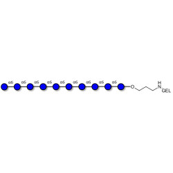 Isomaltodecaose DP10 grafted on gel for affinity chromatography (Linker-GEL B)