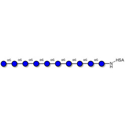 Isomaltodecaose DP10 grafted on HSA