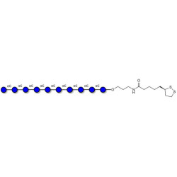 Isomaltodecaose DP10 with cyclic di-thiol (Linker-LIPO A)