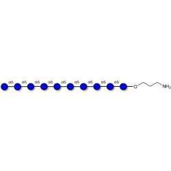 Isomaltodecaose DP10 with free terminal amine (Linker-NH2 A)