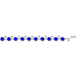 Isomaltodecaose DP10 grafted on OVA