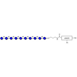 Isomaltodecaose DP10 with customizable dual functionalization 