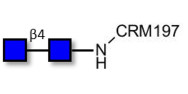 Chitinbiose DP2 grafted on...