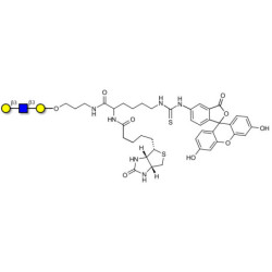 Core type 1 triose linked to biotin and fluorescein (Linker-BT-FLUO A)