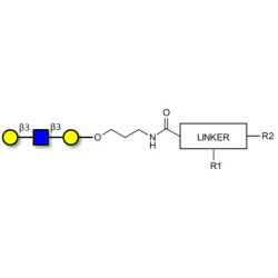 Core type 1 triose with customizable dual functionalization 