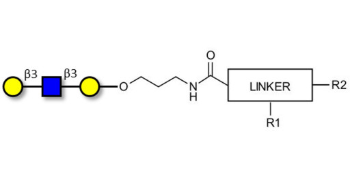 Core type 1 triose with customizable dual functionalization 